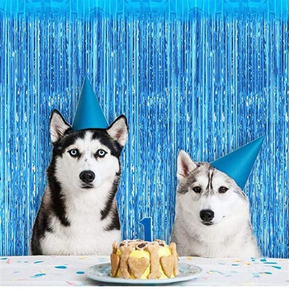 Mavi Arka Fon Duvar Perdesi 270 cm