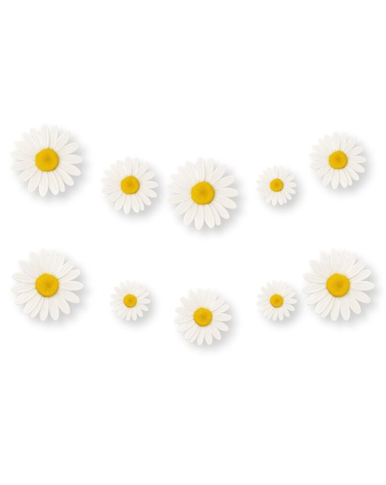 Kağıt Banner Papatya Temalı 10 Parça